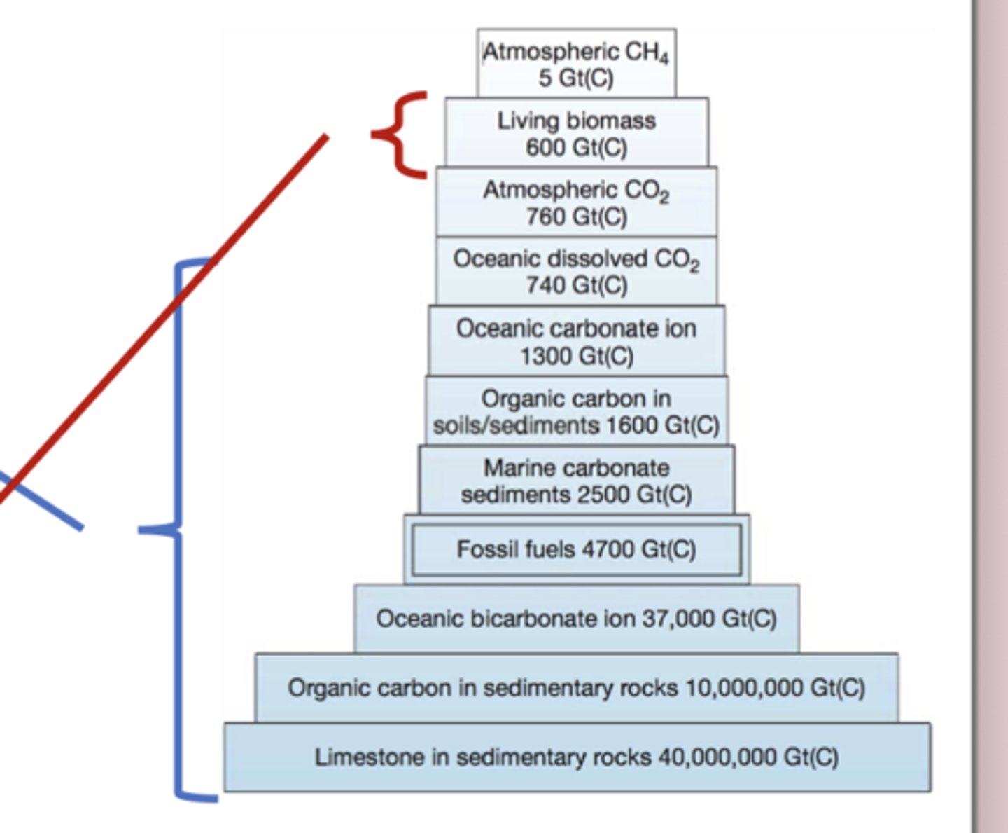<p>The physical Earth—meaning rocks, sediments, and the deep ocean—contains by far the largest carbon reservoirs, so carbon moves through these parts of the cycle extremely slowly (thousands to millions of years). In contrast, the biological reservoirs—living biomass, soil carbon, and atmospheric CO₂—are small but turn over very quickly, responding to changes in years to centuries. Because the biological component is so fast, it plays a major role in modern climate change, since human emissions immediately alter atmospheric CO₂, photosynthesis, respiration, and ocean–atmosphere exchange, long before the slow geological reservoirs can respond.</p>