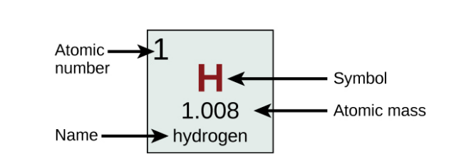 <p>Contains its atomic number (Z), symbol, average mass and sometimes its name. </p>