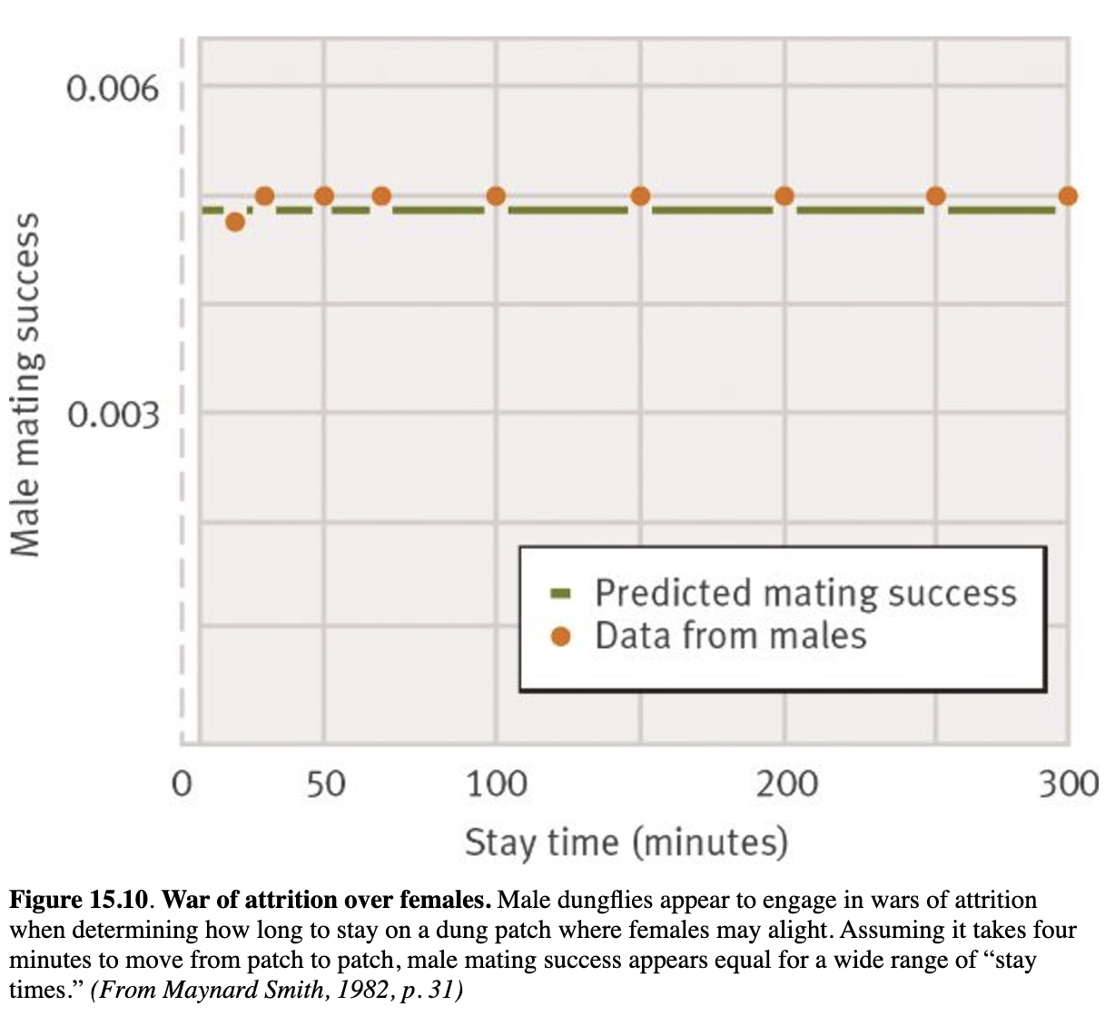 <p>When the travel time is 4 minutes, the stay times observed in dungflies result in approximately equal fitness for all males</p>