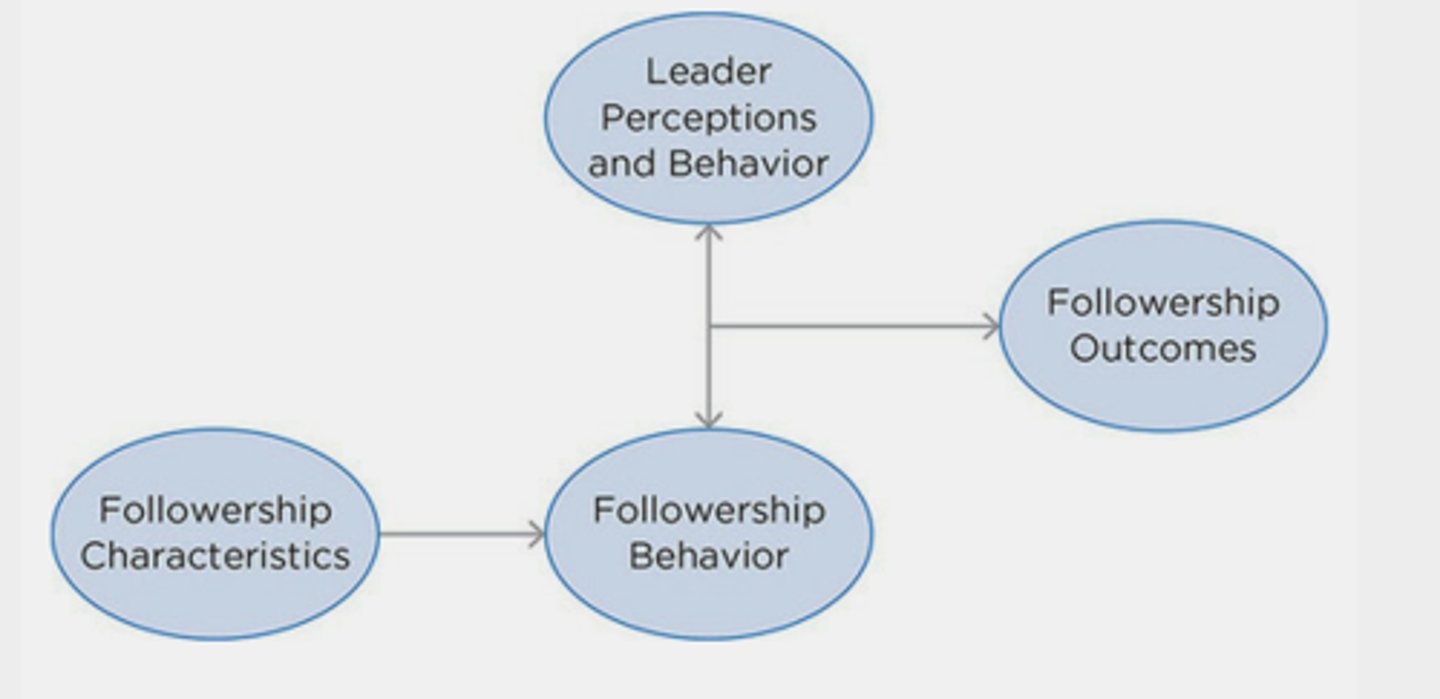<p>Focuses on how followers affect leaders and organizational outcomes. Emphasizes that followers can be change agents</p>