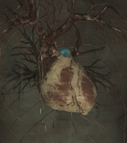 <p>Name the structure highlighted </p>