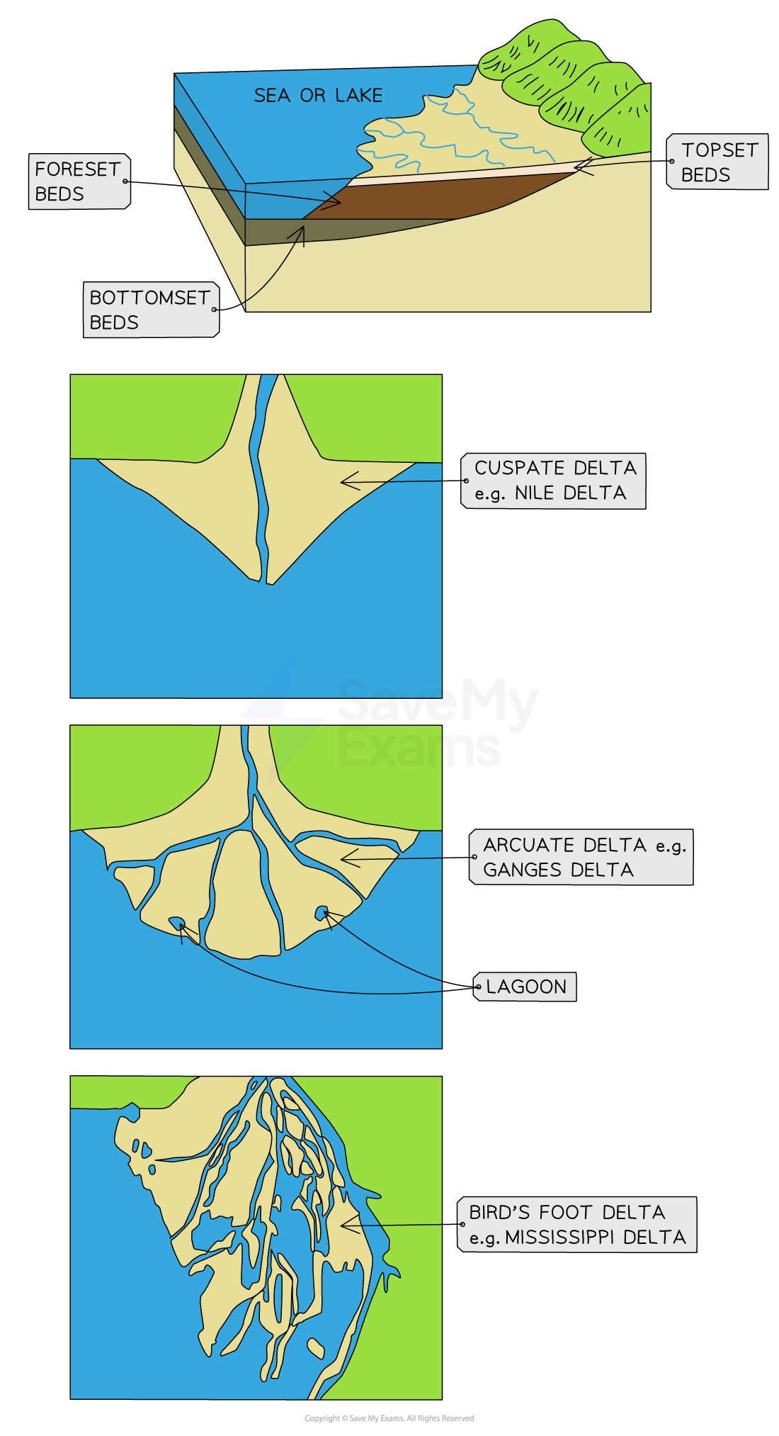 <p>Deltas can be classified into three main types: arcuate, bird's-foot, and cuspate, based on their shape and formation processes. <br><br>arcuate - fan-shaped, even spread out, Nile river</p><p>bird's-foot - extends like a bird's foot, with channels pushing into the water; Missiissippi River </p><p>cuspate - triangular shape with pointed ends, formed by opposing currents. tiber river</p>