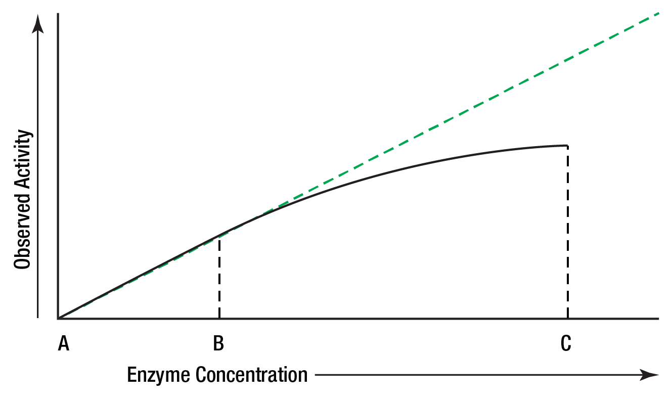 <p>Concerning the concentration of an enzyme, why does the reaction rate eventually level off</p>