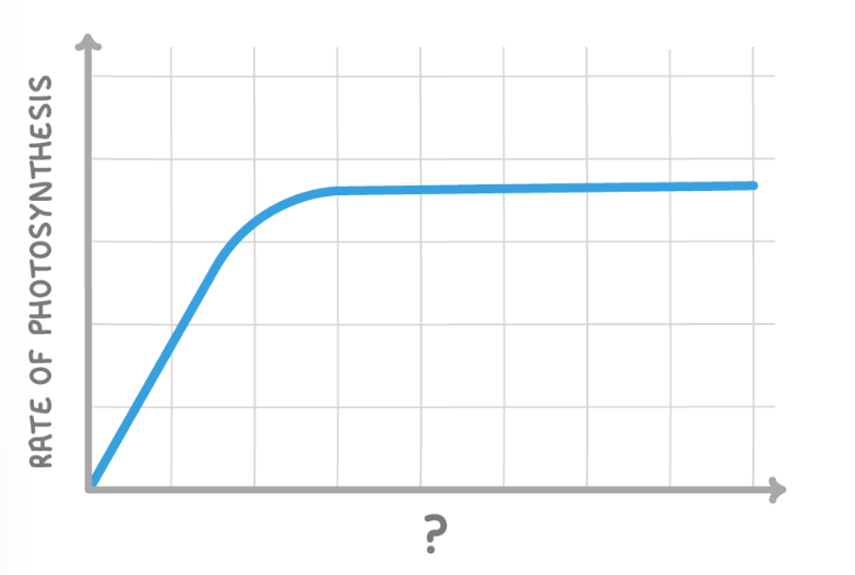 <p><span>Given the shape of the graph, which variable(s) could be on the x axis?</span></p>