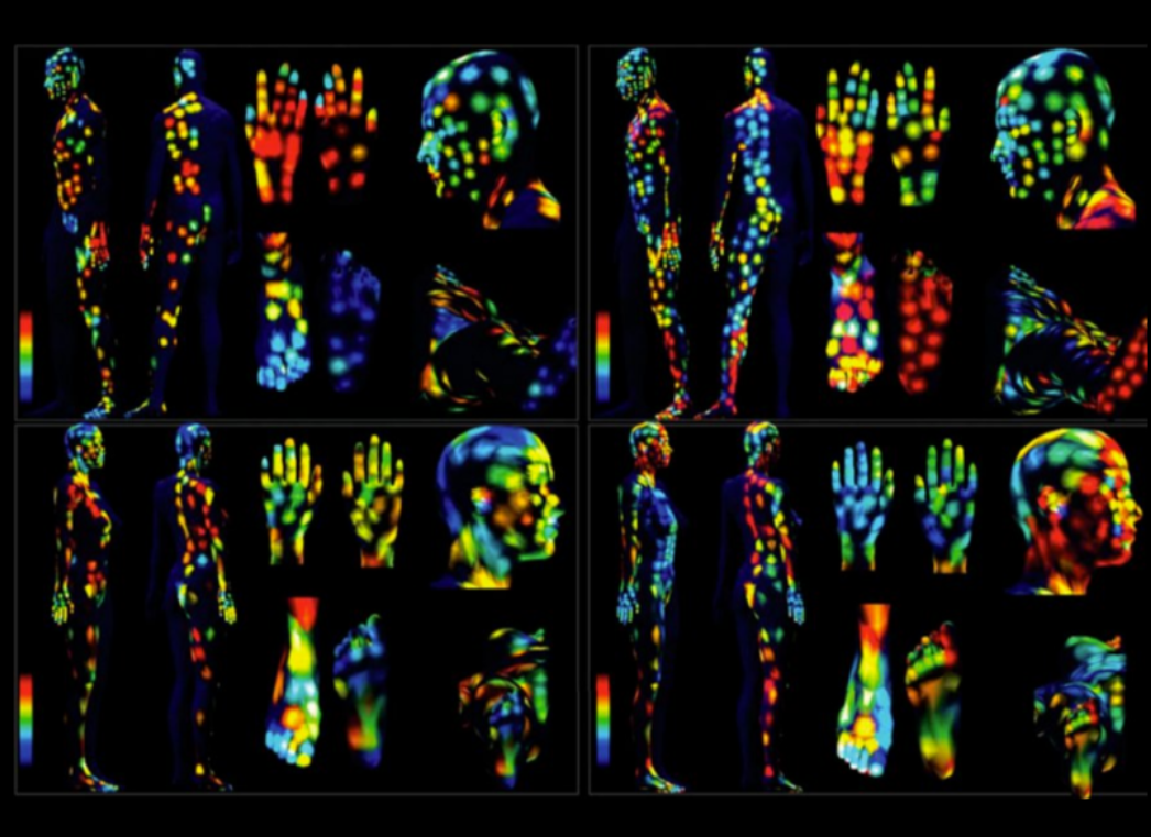 <p>What are the lights displayed in the photo</p>