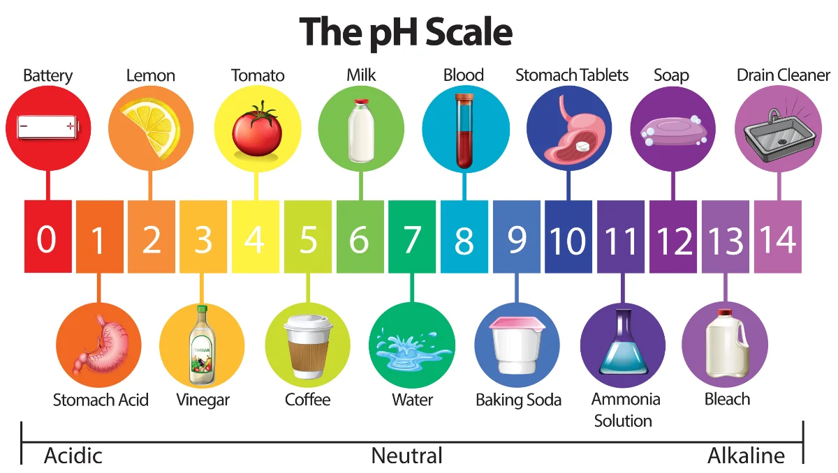 <p>A scale used to measure the acidity or alkalinity of a solution, ranging from 0 to 14, with 7 being neutral. Lower values indicate acidity, while higher values indicate alkalinity. </p>