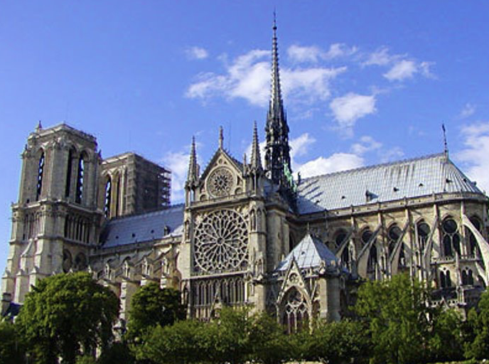 term image