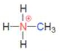 <p>what class of ammonium ion is this</p>