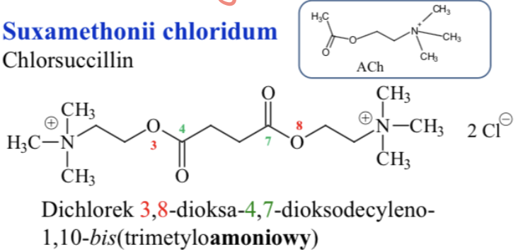 <p>Suxamethonii chloridum- <span style="line-height: normal;"><span>Chlorsuccillin</span></span><br><br><span data-name="small_blue_diamond" data-type="emoji">🔹</span> Faza I – <strong>blok depolaryzacyjny</strong></p><ul><li><p>Lek wiąże się z receptorem Nm.</p></li><li><p>Otwiera kanały sodowe → napływ Na⁺ → depolaryzacja.</p></li><li><p>Powoduje krótkie skurcze mięśni (fascykulacje).</p></li><li><p>Błona pozostaje zdepolaryzowana → brak kolejnych impulsów → zwiotczenie.</p></li></ul><p><span data-name="small_blue_diamond" data-type="emoji">🔹</span> Faza II – <strong>blok typu niedepolaryzacyjnego</strong></p><ul><li><p>Po długotrwałym działaniu receptory stają się desensytyzowane.</p></li><li><p>Błona nie reaguje na dalsze bodźce – mimo że repolaryzacja zaszła.</p></li><li><p>Przypomina działanie leków takich jak rokuronium.</p></li></ul><p></p>