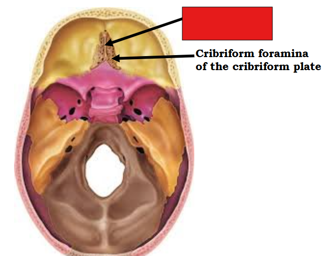 <p>fill in the red box:</p>