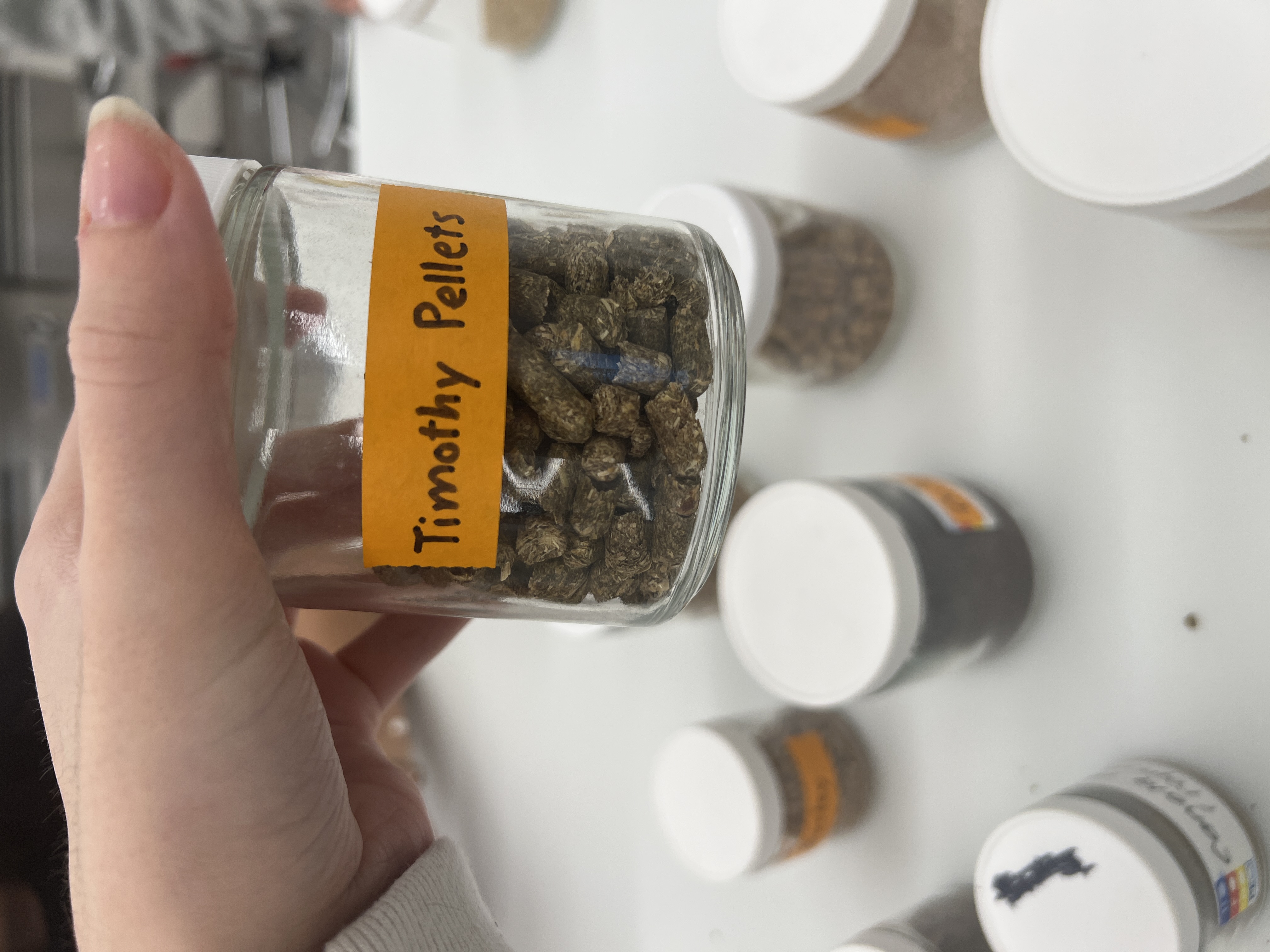 <ul><li><p>IFN # and category: 1 dry roughage</p></li><li><p>AAFCO category: Roughage product</p></li><li><p>appearance: Smells like sweet hay, looks like pellet shaped hay</p></li></ul><p></p>