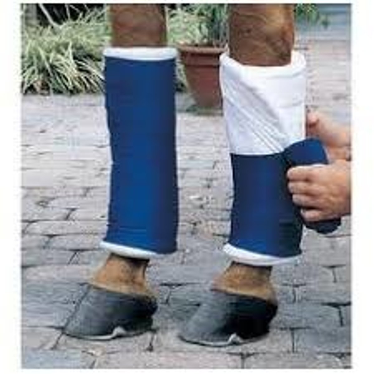 <p>Bandages around a horse's cannon. Used to provide protection, warmth and reduce swelling.</p>