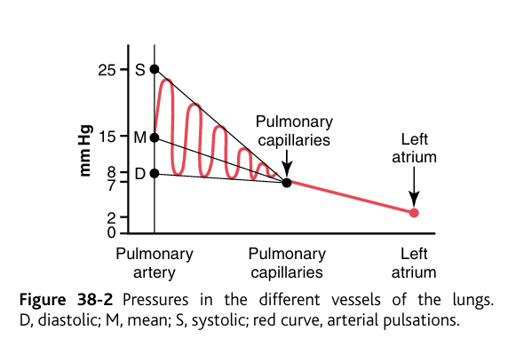 <p><strong>During systole</strong>, the <strong>pressure in the pulmonary artery is essentially equal to the pressure in the right ventricle</strong>, as also shown in Figure 38-1. </p><p>during <strong>diastole</strong>, the <strong>ventricular pressure falls precipitously</strong>, whereas the <strong>pulmonary arterial pressure falls more slowly as blood flows through the capillaries of the lungs</strong>.&nbsp; As shown </p><p>in <strong>Figure 38-2,</strong> the<em> </em><strong><em>systolic pulmonary arterial pressure averages about 25 mm Hg</em></strong> in the normal human being, the <strong><em>diastolic pulmonary arterial pressure is about 8 mm Hg</em></strong>, and the <strong><em>mean pulmonary arterial pressure is 15 mm Hg.&nbsp;</em></strong></p>