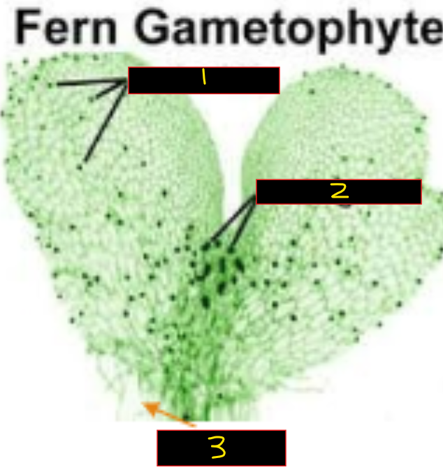 <p>What is 1? </p>