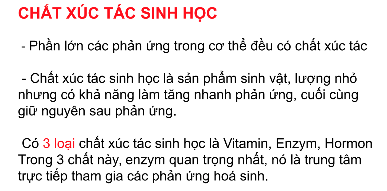 <p><strong>Chất xúc tác sinh học trực tiếp tham gia vào các phản ứng hoá sinh là:</strong></p><p>A. Hormon</p><p>B. Vitamin</p><p>C. Enzym</p><p>D. Coenzym</p>