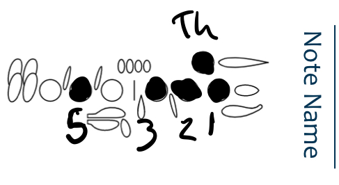<p>B</p>