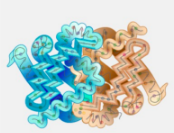 <p>Protein consisting of more than one polypeptide chain (Ribosome, site of P synthesis)</p>