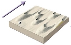 <p>Wind: Type of Sand Dune</p>