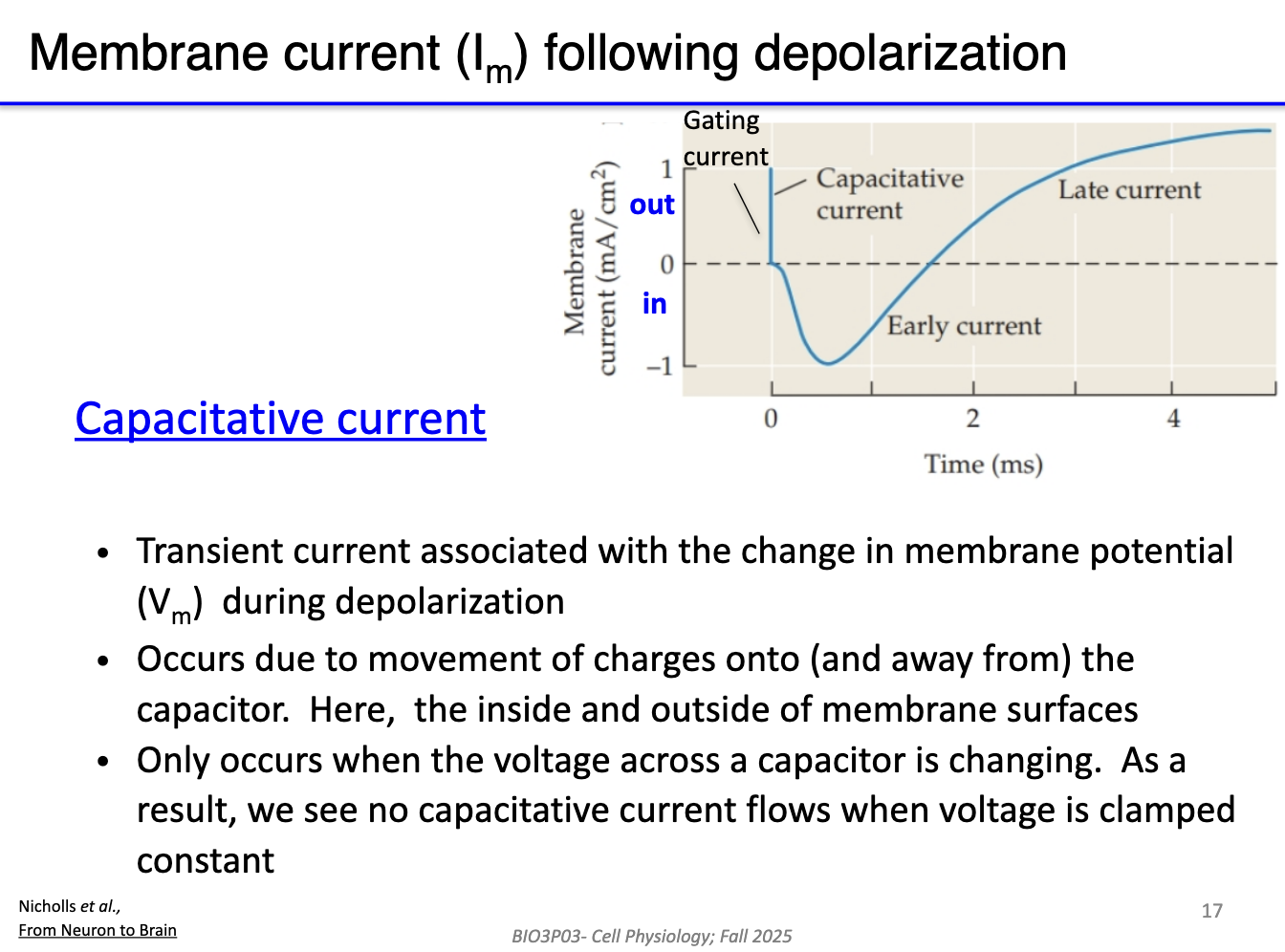 <ul><li><p>Occurs as <strong>charges move</strong> to change the voltage across the <strong>membrane capacitor</strong>.</p></li><li><p>Very brief/transient→ only happens <strong>while voltage is changing</strong>.</p></li><li><p>Once voltage is steady (clamped), <strong>capacitative current stops.</strong></p></li><li><p>Represents <strong>charge displacement</strong>, not ion flow.</p></li></ul><p></p>