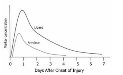 Lipase and amylase – markers of acute pancreatitis