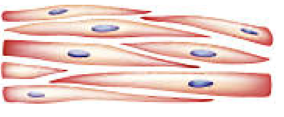 <p> </p>