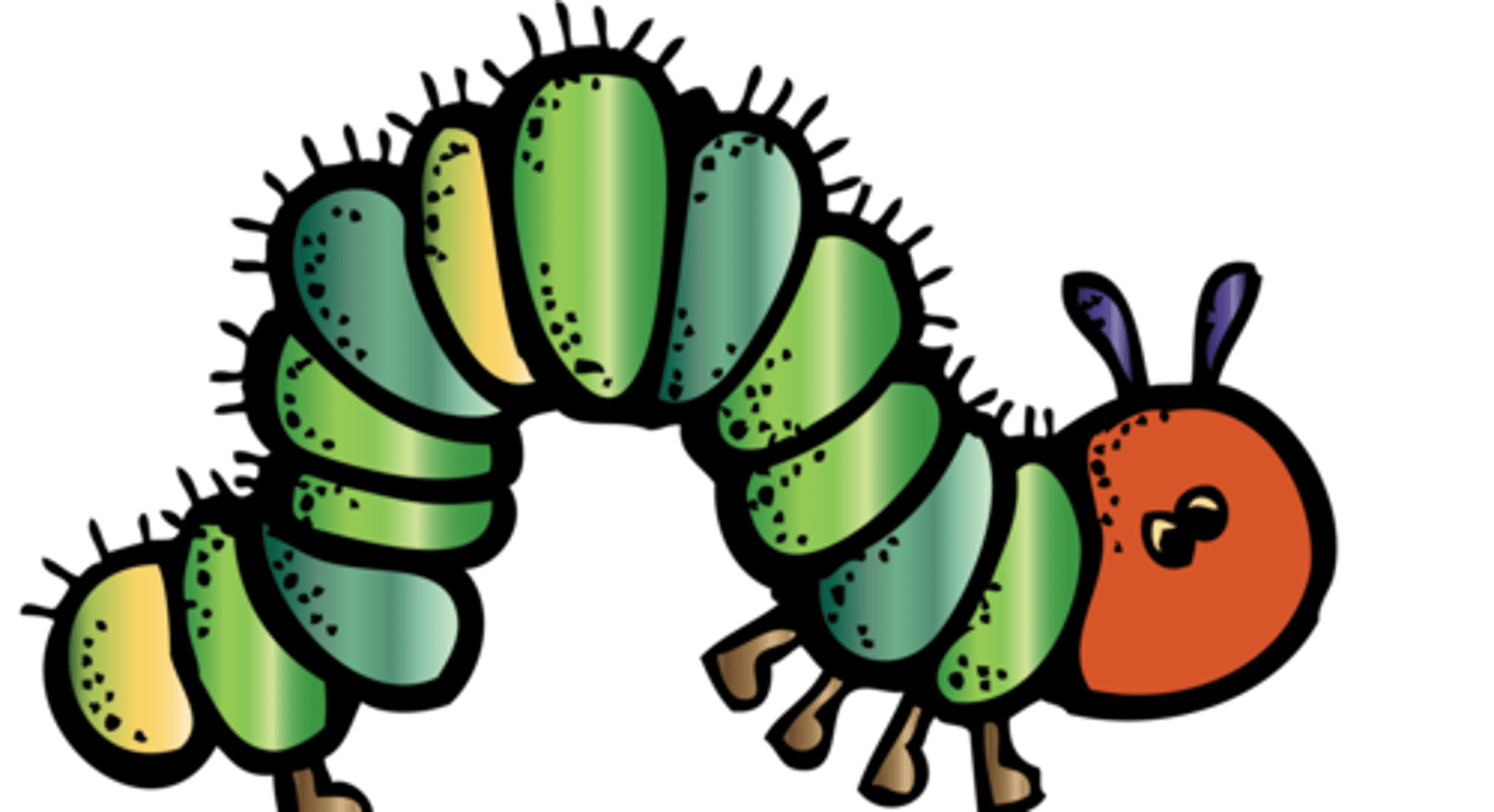 <p>(chóng)</p><p>insect</p>