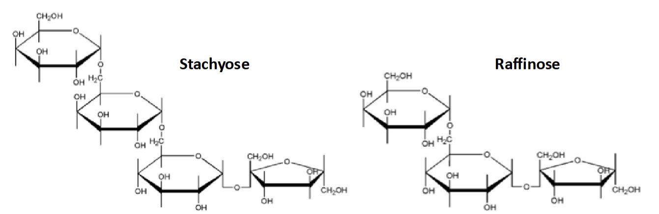 <p>Made of 3-10 monosaccharides </p><p>Human lack the enzyme to digest some dietary oligosaccharides, pass into large intestine where gut bacteria break them down</p><p>i.e Stachyose &amp; Raffinose</p>