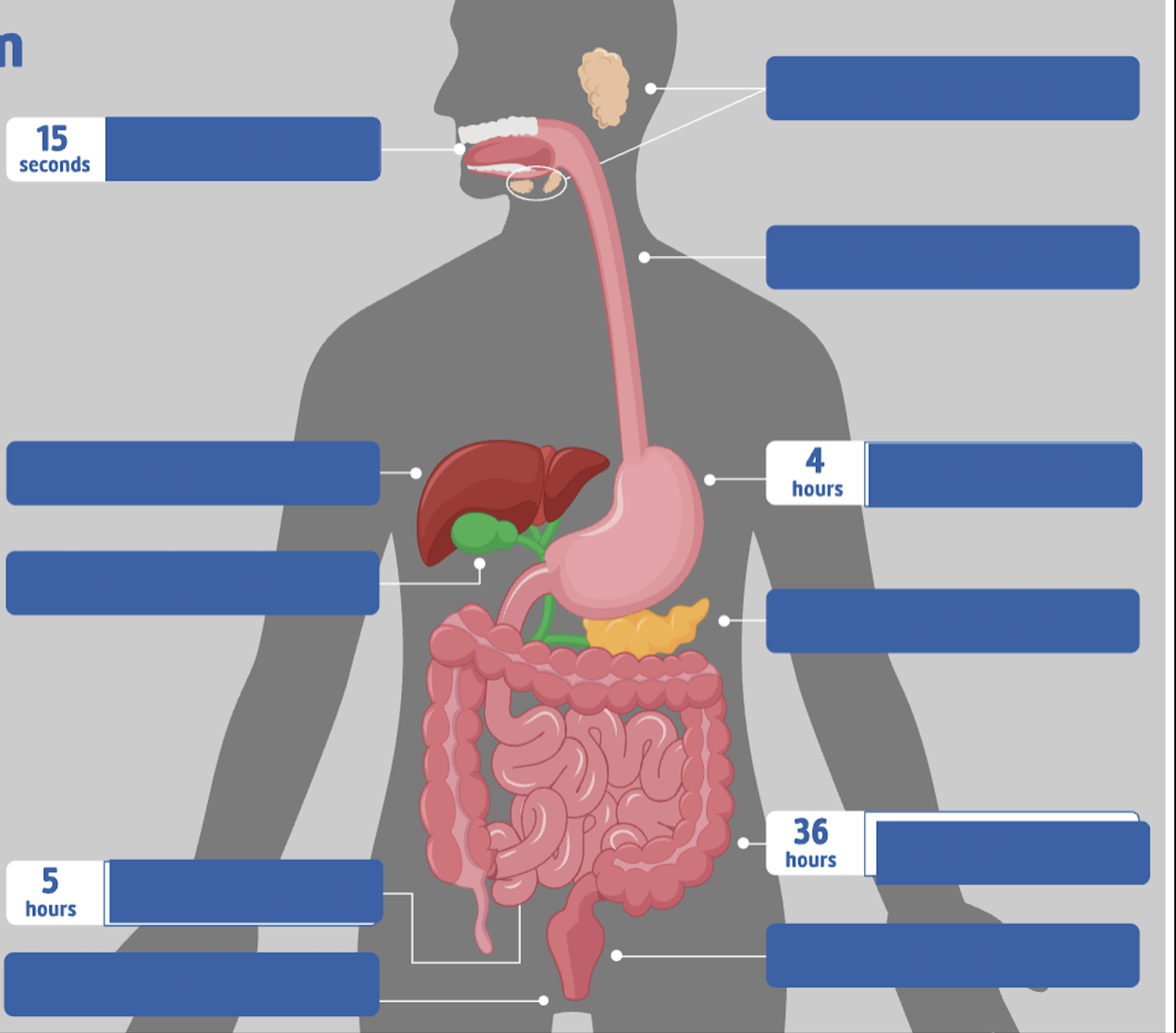 <p>fill in the spaces:</p>