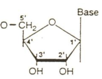 <p>what molecule is this?</p>