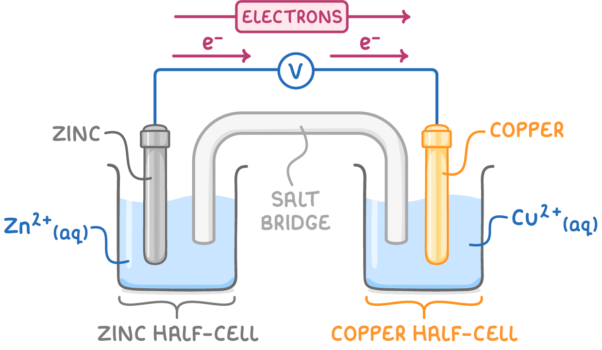 <p>using cell seen in diagram as an example:</p><ul><li><p>e<sup>- </sup>flow externally in the circuit from the -ve ½ cell to the +ve ½ cell </p></li><li><p>Zn atoms in -ve ½ cell lose e<sup>-</sup> so are oxidised </p></li><li><p>e<sup>- </sup>flow from Zn metal to Cu metal </p></li><li><p>Cu<sup>2+</sup> ions in soln gain e<sup>-</sup> to form Cu</p></li><li><p>Cu forms on the Cu electrode - mass of Cu electrode increases</p></li><li><p>some Zn metal forms Zn<sup>2+</sup> ions - mass of Zn electrode decreases</p></li><li><p><span><span>∴ e</span><sup><span>-</span></sup><span> can flow</span></span></p></li></ul><p></p>
