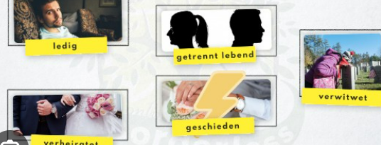 <p><span style="color: blue;">der Familienstand</span></p>