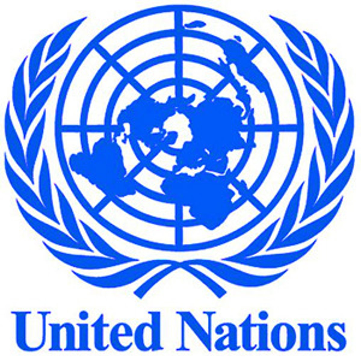 <p>United Nations</p>