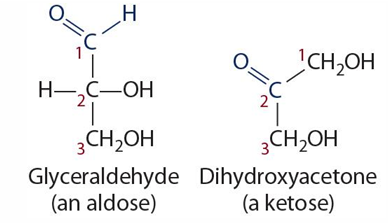 <p>-assymetrical carbon</p><p>-when a carbon has 4 different atoms or groups covalently attached to it </p><p>-causes optical property **</p>