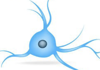 <p>?</p>