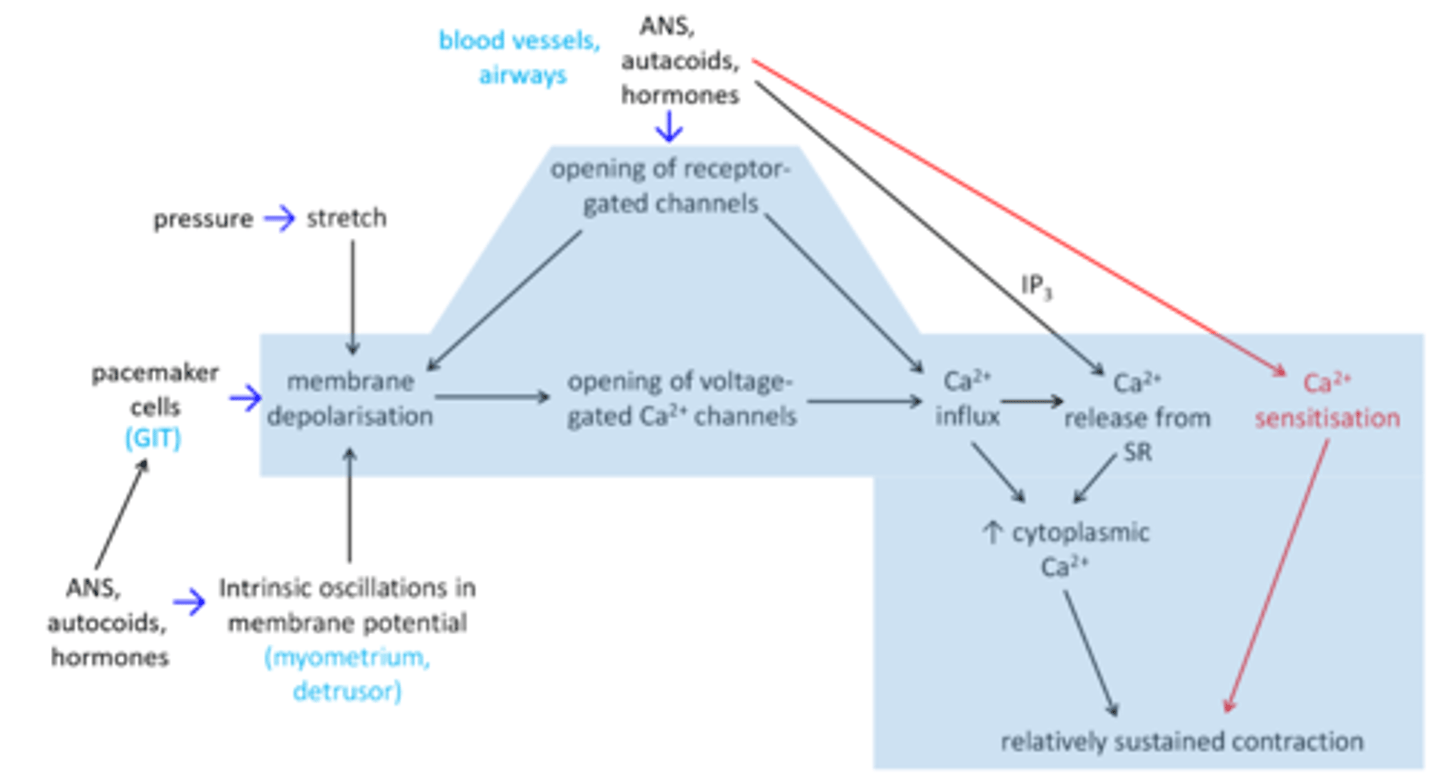 knowt flashcard image