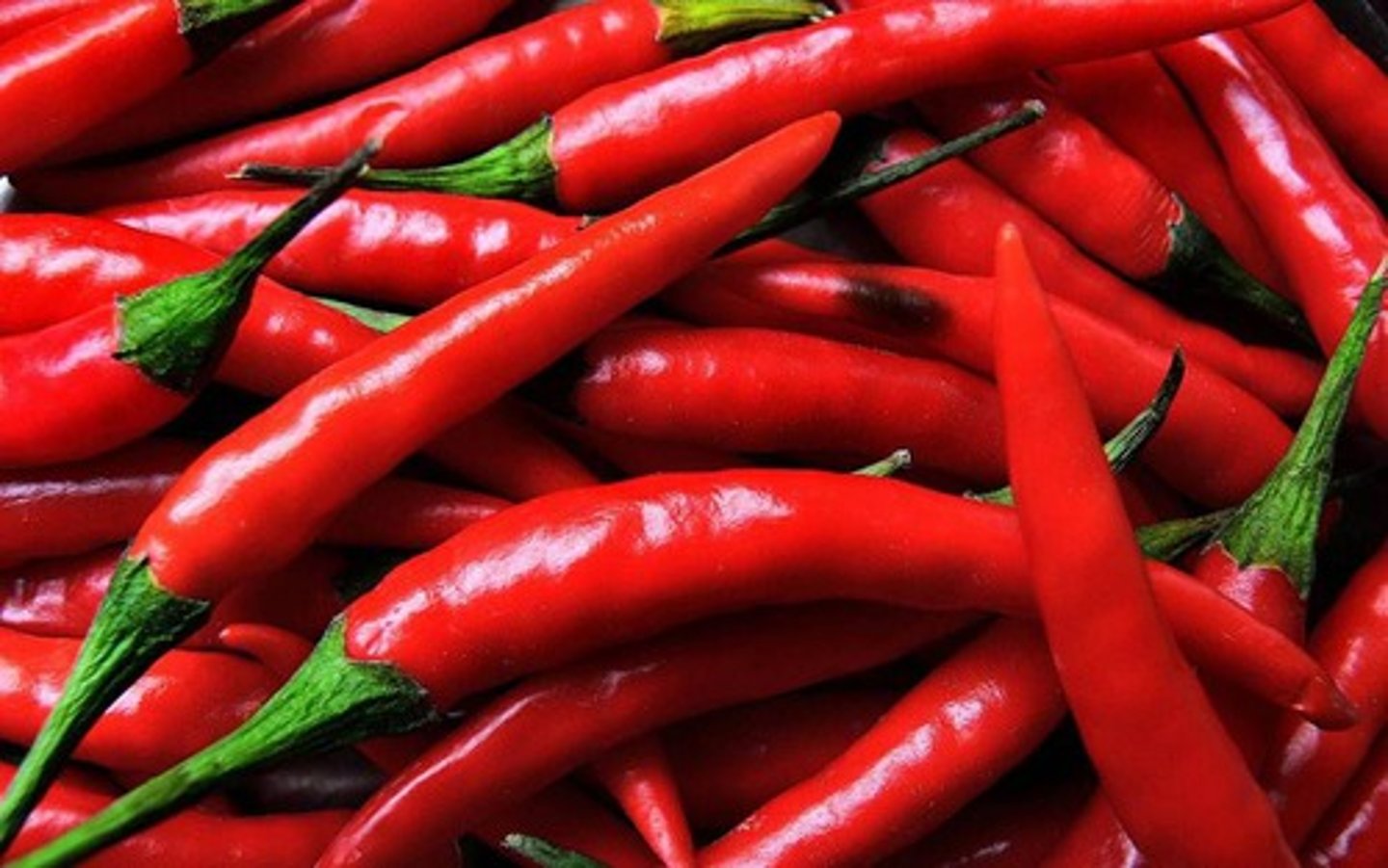 <p>(là) spicy</p>