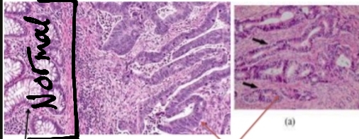 <p>Identify then describe</p>