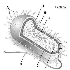 <p>Label this diagram</p>