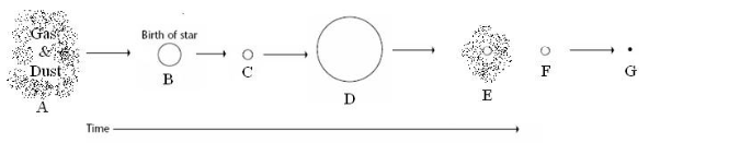<p>B</p>