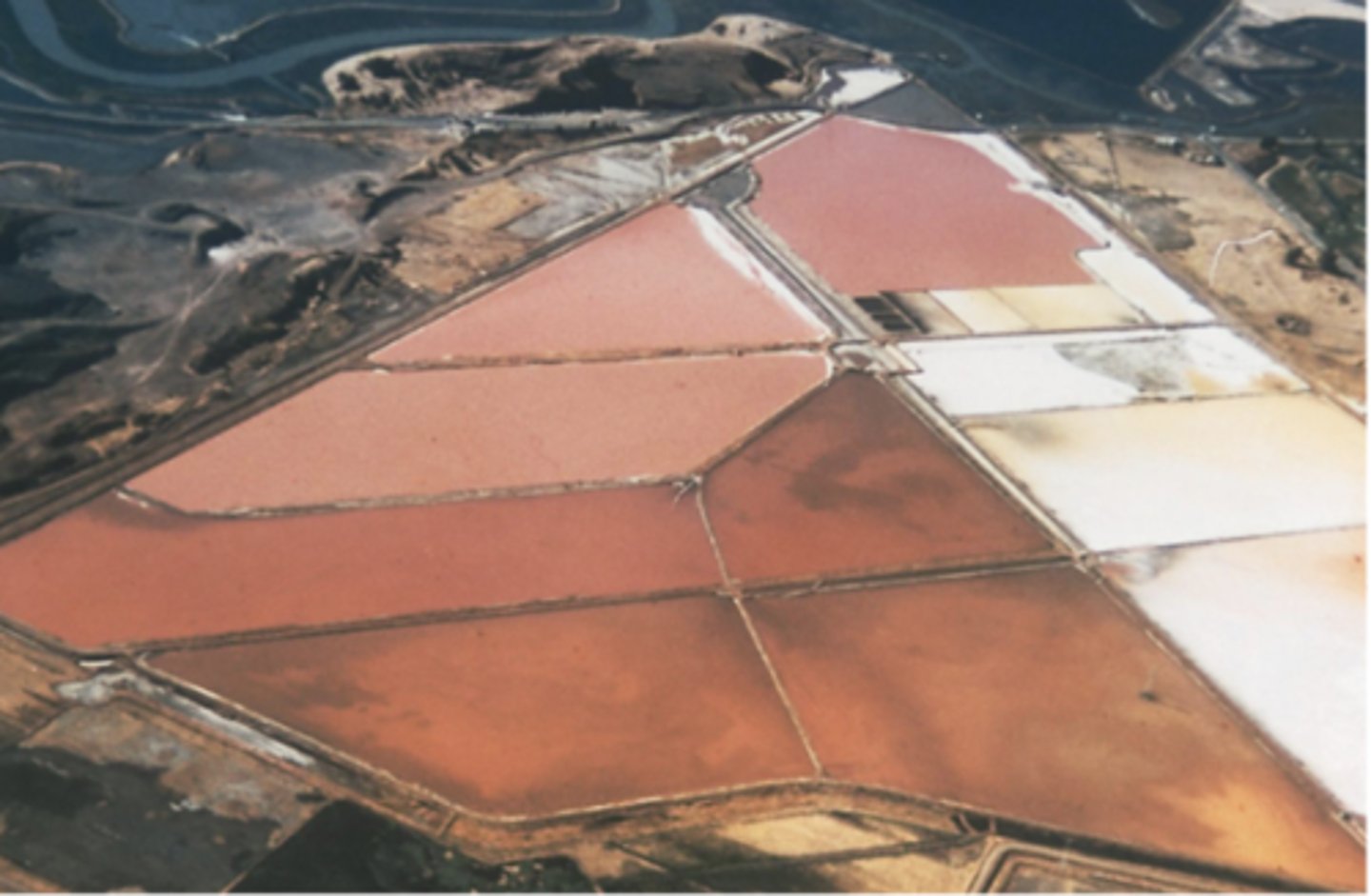 <p>Hypersaline habitats for halophilic Archaea. Aerial view near San Francisco Bay, California, of a series of seawater evaporation ponds where solar salt is prepared. The red-purple color is predominantly due to bacterioruberin and bacteriorhodopsin in cells of Halobacterium</p>