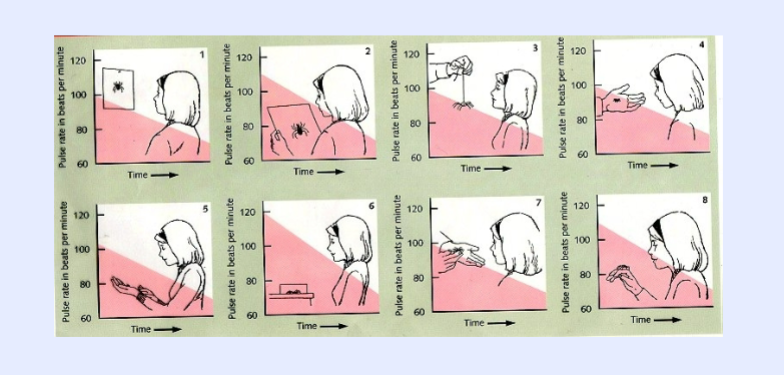 <p><span>the client is gradually exposed to fear-evoking stimuli under</span><br><span>circumstances in which they remain relaxed.</span></p>