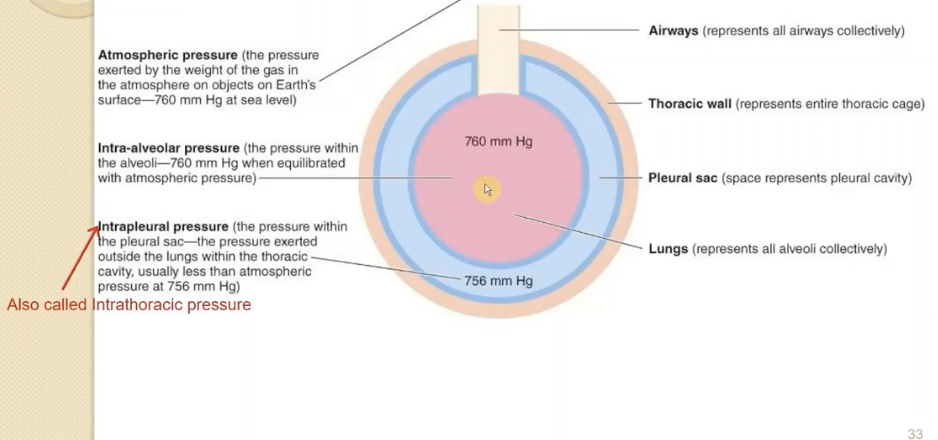 <p>pressure exerted by the weight of the gas in the atm on objects on earth’s surface</p><p><strong>760 mmHg</strong> (29.92 inHg)</p>