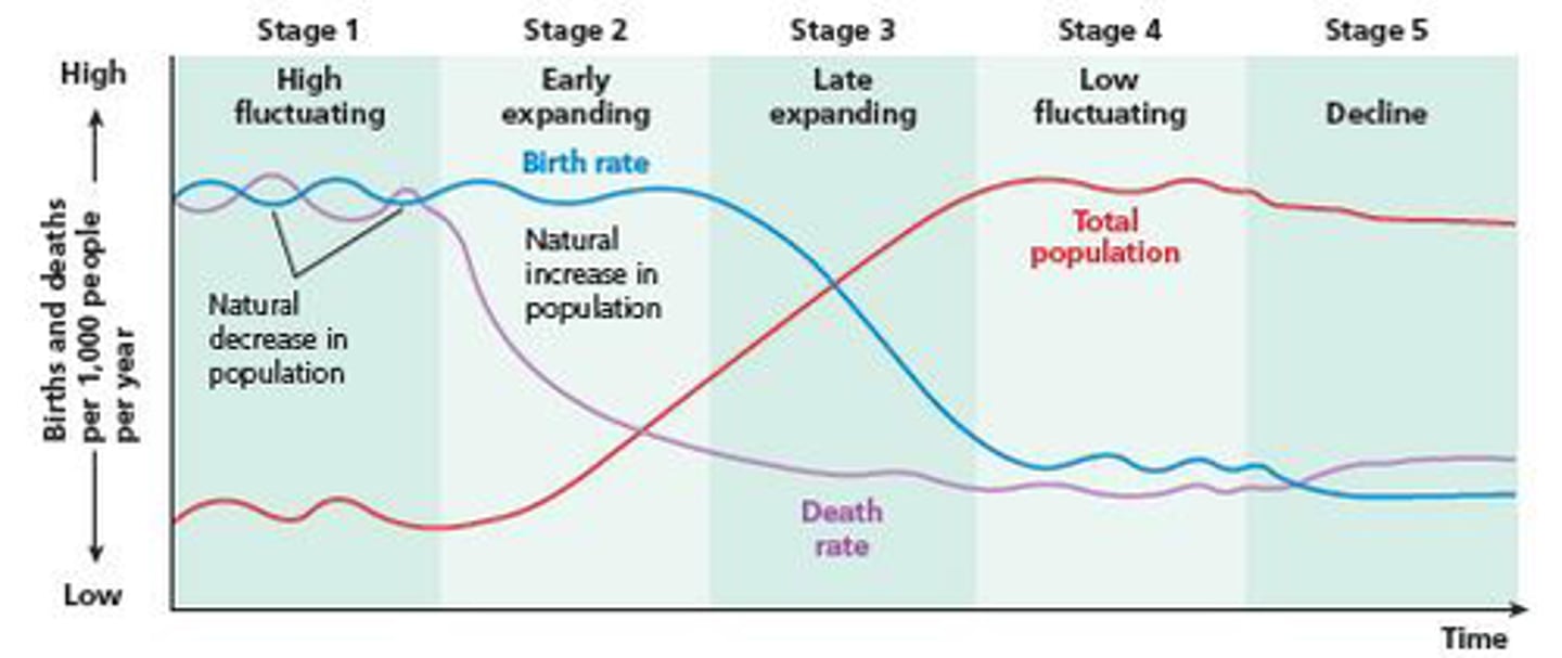 <p>A sequence of demographic changes in which a country moves from high birth and death rates to low birth and death rates through time. Stages 1-5. LDC=&gt;NIC=&gt;MDC.</p>