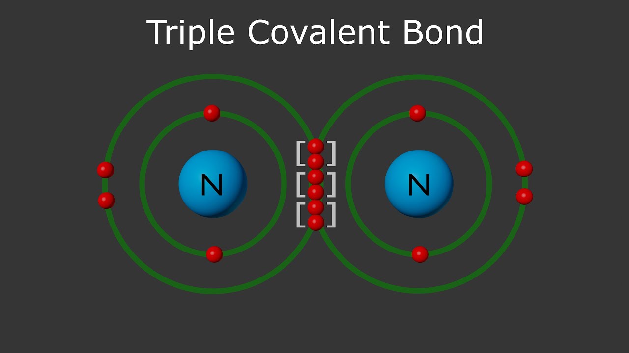 <p>three pairs of electrons shared between atoms in some molecules</p>