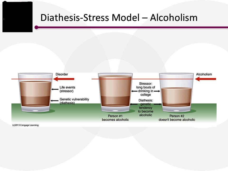 <p>2 friends could be under the same amount of stress adjusting to university. but one friend develops major depressive disorder and the other is fine! why? because the friend who developed the disorder has a greater genetic vulnerability to develop the disorder. </p>