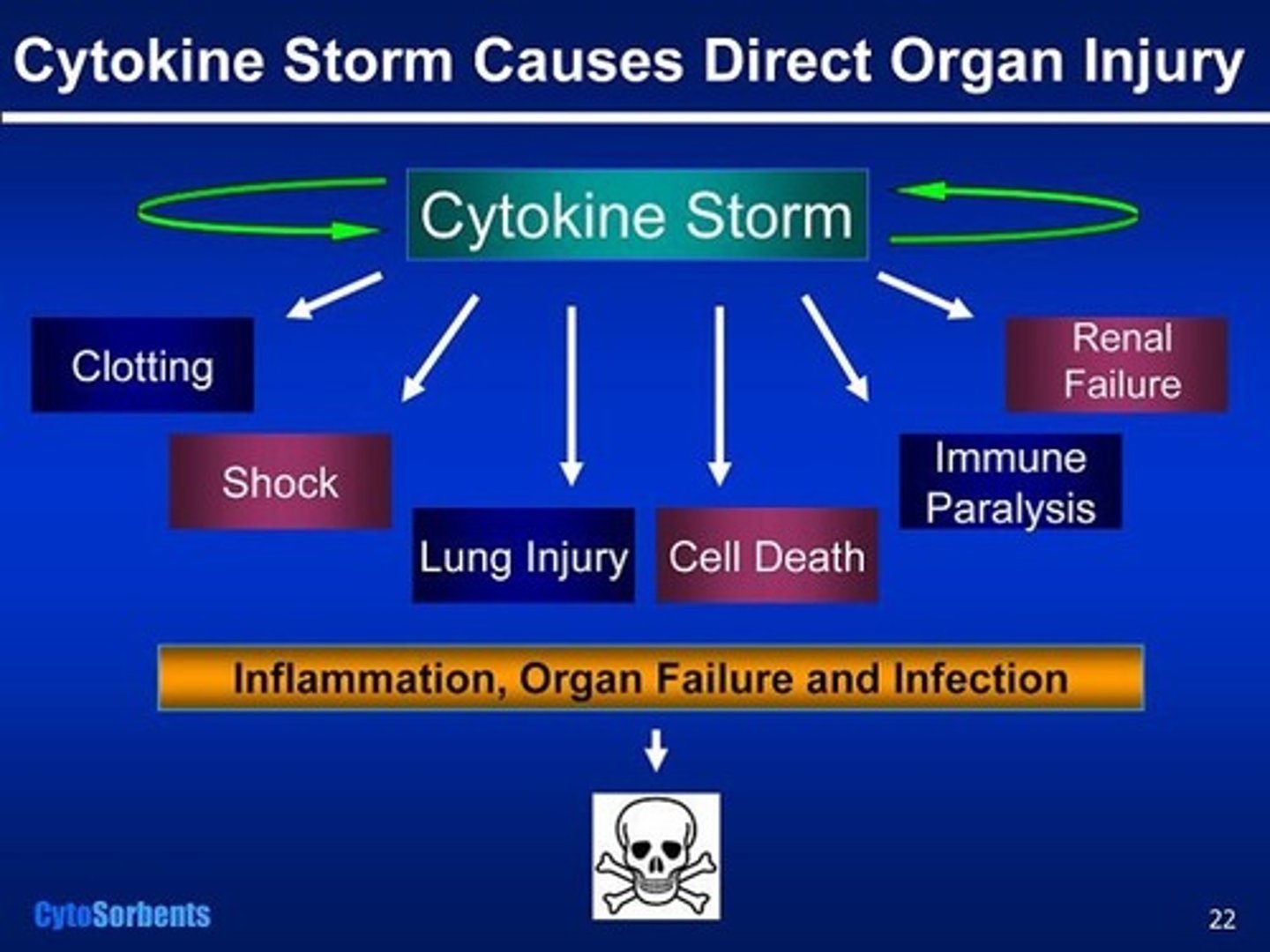 <p>maladaptive inflammatory response that activates cytotoxic T cells, damaging tissues and leading to bleeding out. unregulated inflammation.</p>