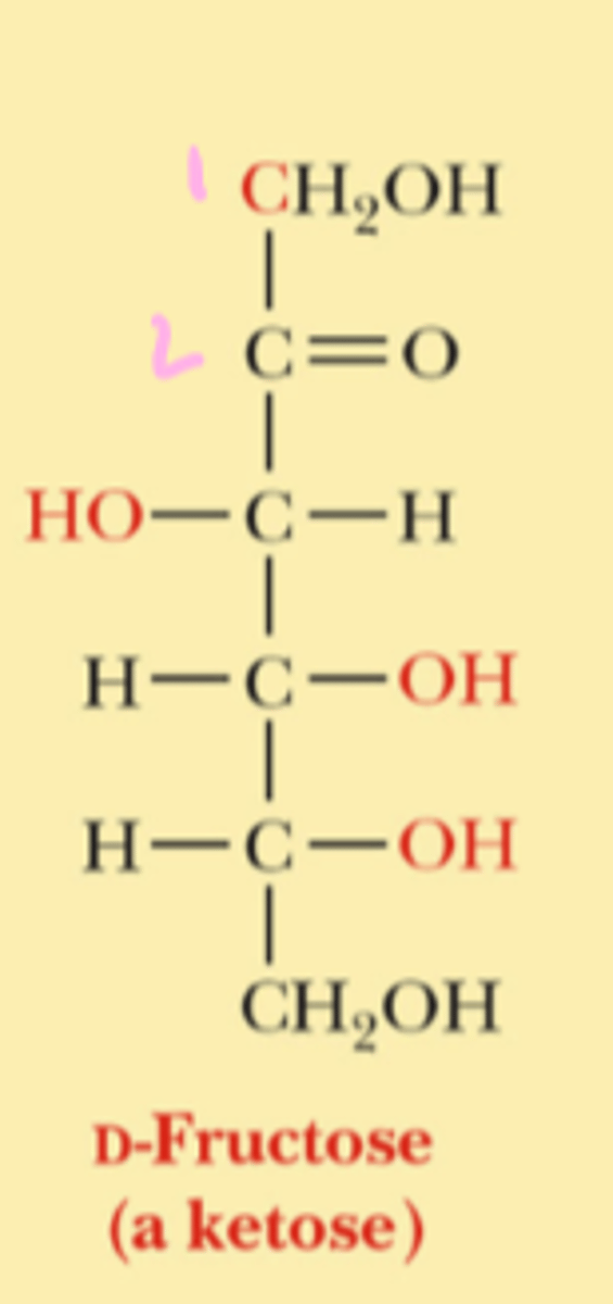 <p>carbon #2</p>