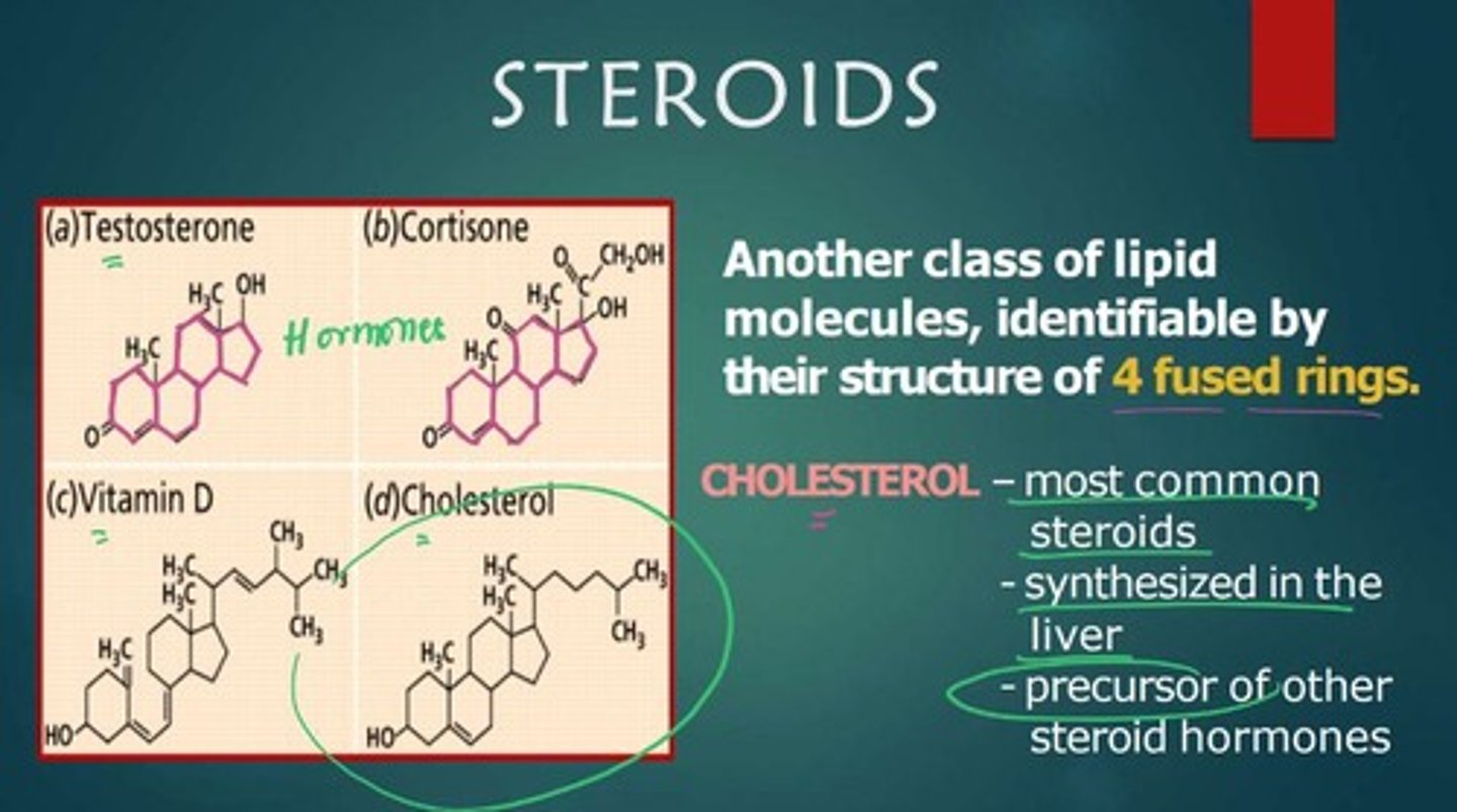 <p>A class of lipid molecules characterized by a structure of four fused rings.</p>