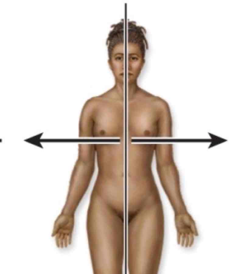 <p>Away from midline</p>