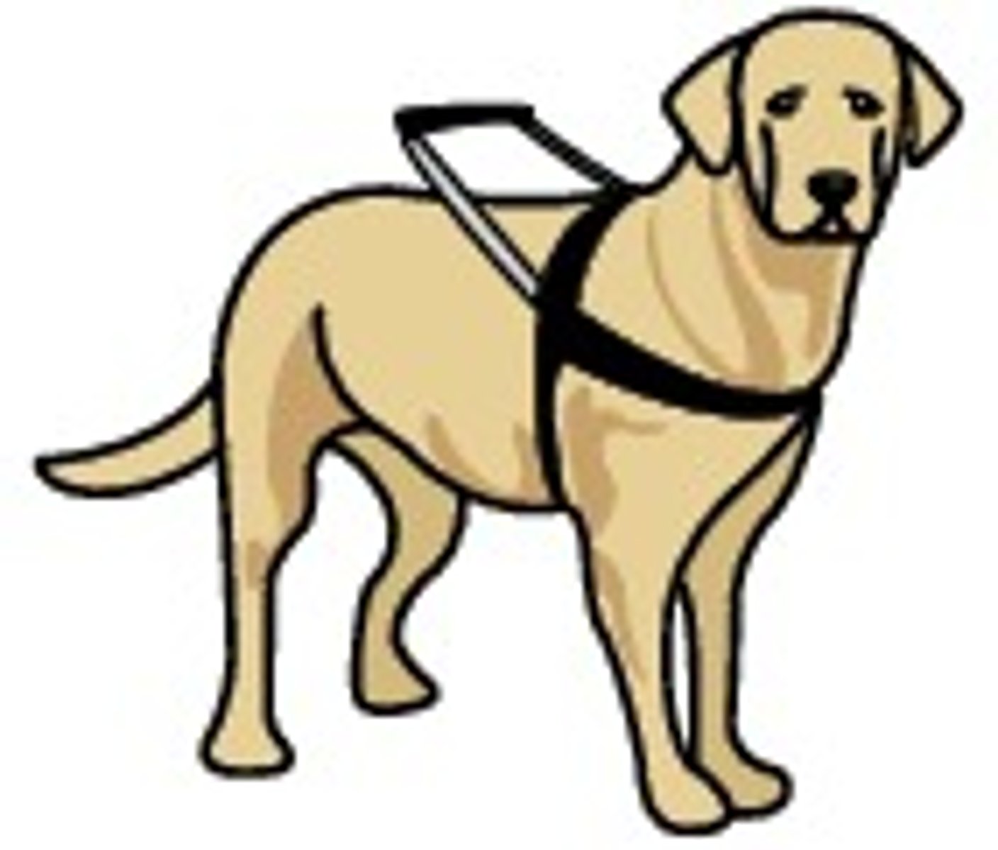 <p>собака-поводир</p>